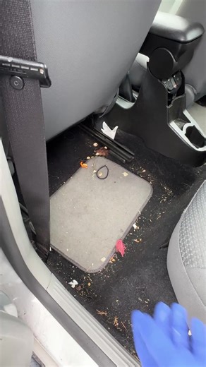 Satisfying Car Detailing Sounds for a Clean Interior