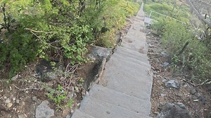 Ursula Martinez on Reels