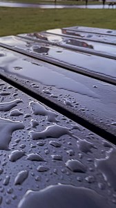 The Kelpies 🏴󠁧󠁢󠁳󠁣󠁴󠁿 tallest equine sculptures in the world #thekelpies #thekelpiesfalkirk #equine #equinephotography #equinereels #falkirk #reels #reelsviral #trendingreels #reelsinsta #reelstoday #newreels #visitscotland | bgs photography