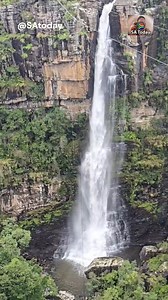 Graskop Gorge Lift Co. in Mpumalanga, South Africa, features a 51-meter glass viewing lift descending into an Afromontane forest, featuring a 600m elevated forest trail, a 70m "Big Swing" reaching 140km/h, a zipline, and a restaurant. Opened in 2017, this eco-tourism site is a major attraction on the Panorama Route. | SA Today