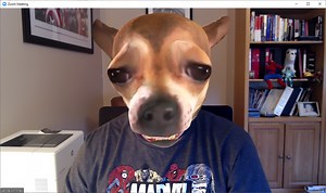 Zoom video filters download