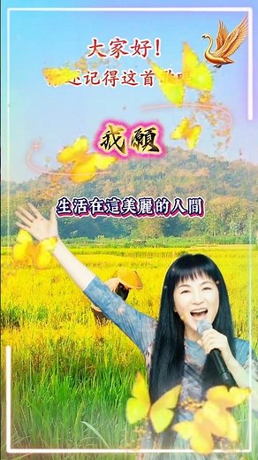 【我願 鳳飛飛】熟悉台湾国语老歌金曲怀旧名曲 Fong Fei Fei [I'm Willing] Nostalgic Mandarin Classic Song