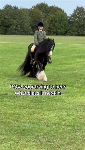 Always the dodgy speakers🥲🤣#fyp #horses #shows #funny #ponies