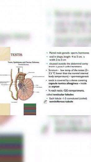 #EduSetu #biology #human reproduction #short notes #revision