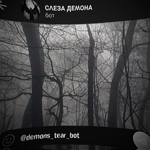 видео от влд набор в админы открыт! бот: @demons_tear_bot #ботподдержки #поддержка #телеграм #бот #ti̇ktok