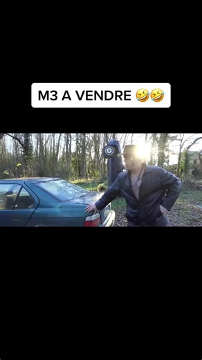 #gitanerie #boiserie #laboiserie #humour #fyp #pourtoi #thierryvigneauboiserie