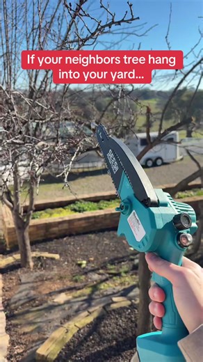 Best Practices for Trimming Overhanging Tree Limbs