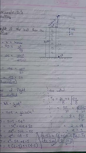 all examples of 11 - physics ch-2
