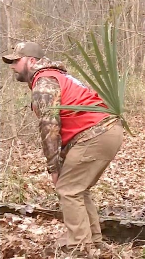 That's NOT A TURKEY🦃🤣