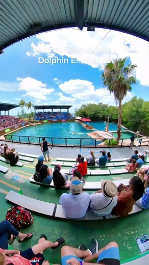 A dolphin trainer was just attacked by Flipper. Police just arrived. :( #dolphinattack #miami #seaquarium