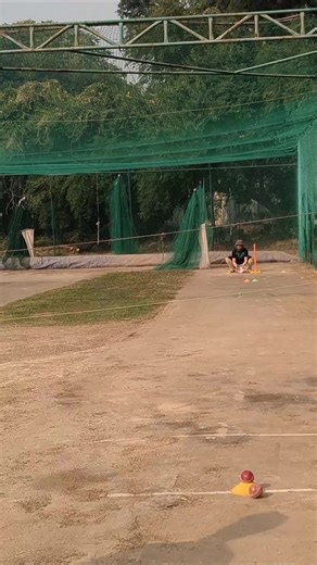 Understanding Leg Break and Flipper in Cricket