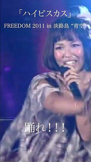 「ハイビスカス」FREEDOM 2011 in 淡路島 “青空”