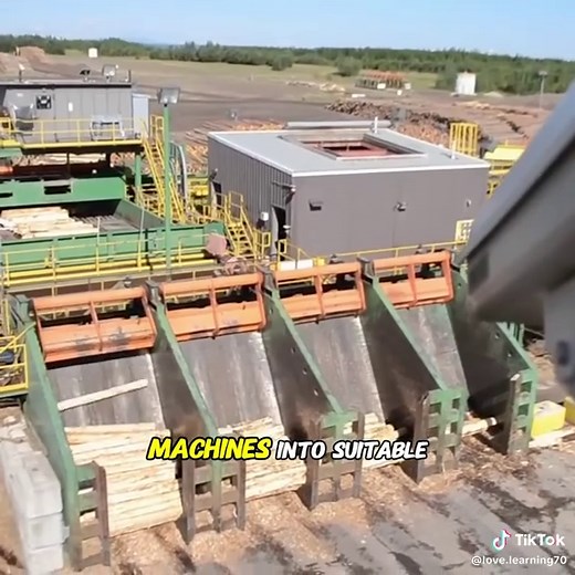 How Paper Is Made: The Paper Making Process Explained