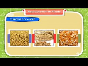 Reproduction in Plants Video Lecture | Biology Class 8 ICSE