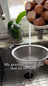 39K views · 149 reactions | Eggshell Fertilizer Hack Every Plant Lover Should Know! #PlantHacks #GardeningTips #EcoFriendly | Ollie Hacks | Facebook