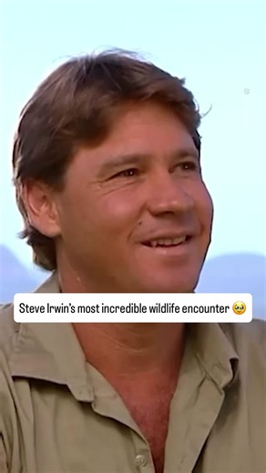 Steve Irwin Watches Terri Give Birth to Bindi — Most Incredible Wildlife Encounter