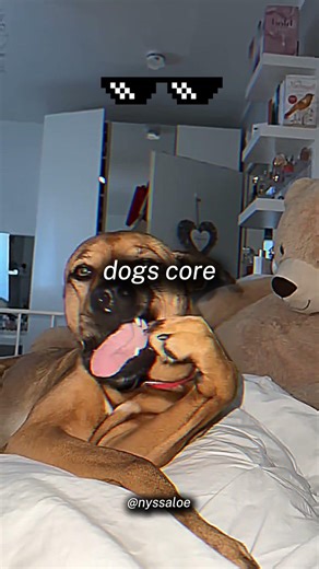 dogs core #shorts
