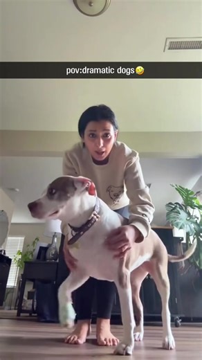 Funny dogs being overly dramatic about the smallest things 😂🐶 Big sighs, exaggerated reactions, and Oscar-worthy performances 🤣 #FunnyDogs #DramaticDogs #DogComedy #PetMoments #FYP @Cute & Funny