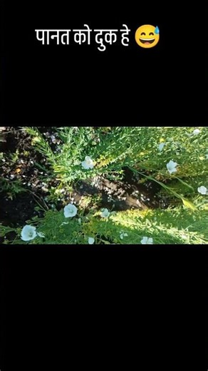 Day 28 / Day 150 Like and subscribe ✨ #viral #short #support #viraltips #motivationdaily