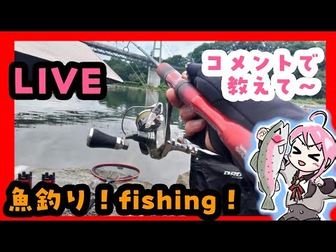 エリアトラウト 🎣ԅ( ˘ω˘ ԅ)教えて下さい #ｴﾘｱﾄﾗｳﾄ #VTuber #魚釣り #fishing #管釣り #Vチューバー 2026.03.30
