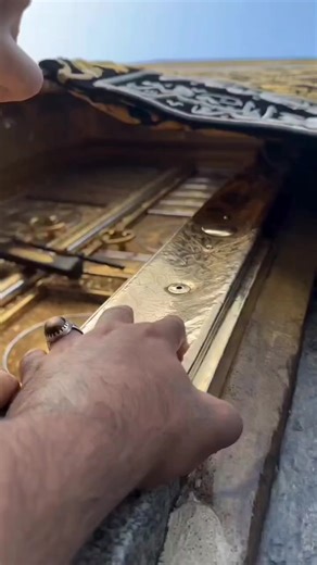 870K views · 205K reactions | 懶  懶 . . . . . . . The Evolution of...