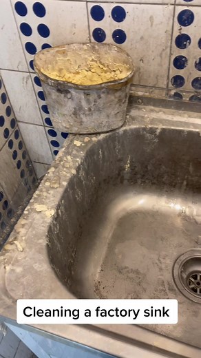Factory Sink Deep Clean: Before & After