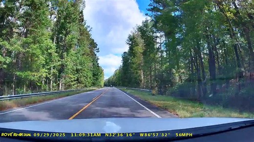 Driver 'lucky to be alive' after huge tree topples onto highway and hits car