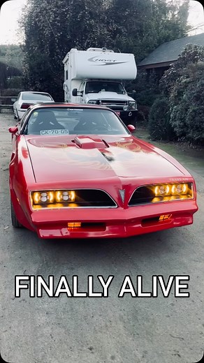 Red Trans Am | 🎸 Fueled by noise. Built for speed. Born to stand out. This ain’t just a car — it’s a rebellion on four wheels. Hit the gas, let the V8... | Instagram