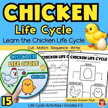 Chicken Life Cycle Worksheets & Activities | Craft Sequencing Grade 1-2