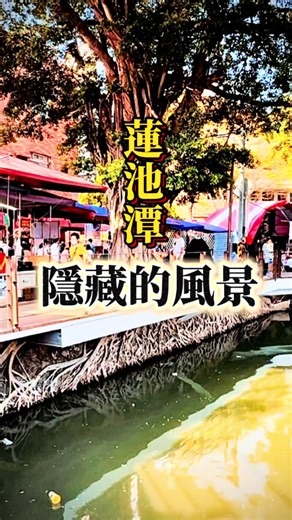 在高雄蓮池潭尋找靜謐的旅程