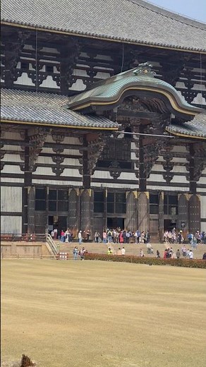 Todai-ji temple in Nara #奈良 #東大寺