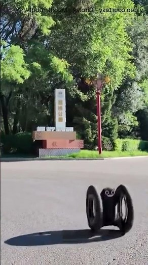 🤖 This AI Robot Has Wheels AND Legs and Patrol Anywhere