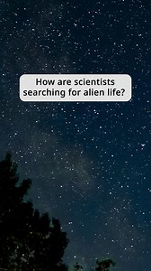 Does the search for alien life start on Earth? 👽 According to UVic astronomer Jon Willis, author of The Pale Blue Data Point: An Earth-Based Perspective on the Search for Alien Life, the search for alien life actually begins right in our backyard. By exploring Earth, Willis gets clues about what life might look like on other planets. ➡️ He investigated deep-sea vents in the Pacific and trekked through the Australian outback to understand how life began on Earth, and what it might look like on E