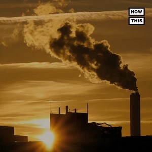 42K views · 323 reactions | Pollution isn’t just harming the environment — it’s making humans less intelligent | NowThis | Facebook