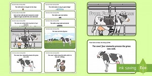 From Farm to Glass: The Story of Milk Story Sequencing Cards