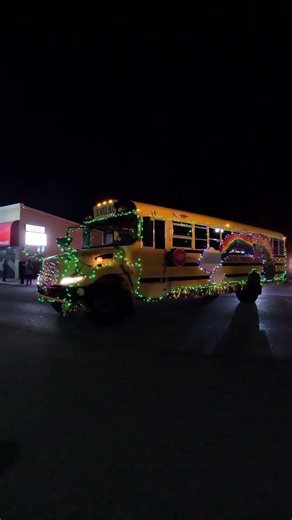 When the School Bus Goes Full St. Paddy’s Mode! #parade #schoolbus #stpatricksday