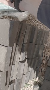 2.2M views · 25K reactions | Eastern Brown strikes at Stu’s chest! ...