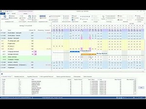 Rillsoft Projektmanagement Software - 07 Multiprojektmanagement und Lösung von Ressourcenkonflikten