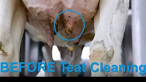 96K views · 332 reactions | ➡ Next step inside the teat cup: Superior...