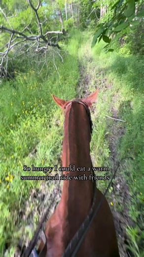 Longing for Summer Trail Rides with Friends