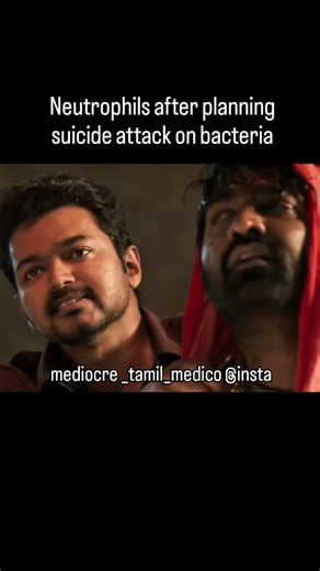 @mediocre_tamil_medico on Instagram: "After NETosis, neutrophils rupture and die, releasing DNA-protein web structures called NETs that trap and kill pathogens. These structures continue antimicrobial activity even after cell death but may cause inflammation and tissue damage if produced excessivel"
