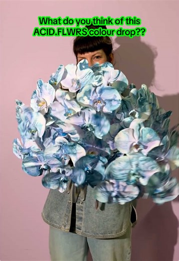 Blue Flowers: A Unique Floral Experience