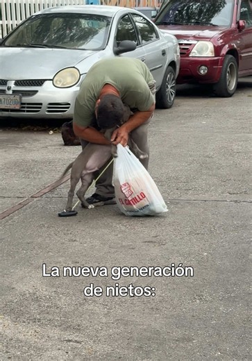 Mi gordito lleno de amor🥹🥰 #americanbully #abuelitos #americanbullylover #viral #fyp