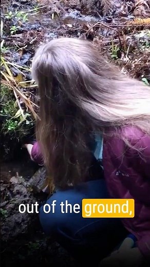 This Water Filter Actually Works #survival #waterfilter