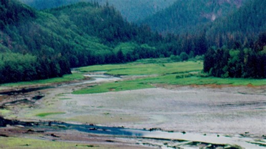 The Kiltuish River originates in the Kitimat Ranges and flows approximately 16 miles (25 km) north to Kiltuish Inlet, an arm of Gardner Canal, about 103 miles (166 km) southeast of Prince Rupert and 51 miles (82 km) south of Kitimat, British Columbia. Read more here: https://coastview.org/2026/01/05/kiltuish-river-gardner-canal/ | CoastView: Go Exploring