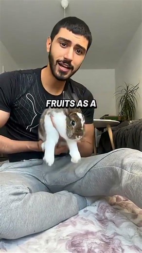 Explaining the right diet for rabbits