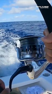 Catching a Beautiful Bonita #bonita #bonitafish #fishingdaily #doyoufeelbonita | South Florida Fishing Channel