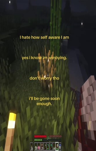 Soon #fyp #stretchtok #wockst★rz #xyzbca #minecraft | minecraft