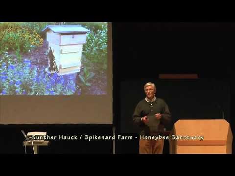 Gunther Hauck - biodynamic Beekeeper-Toward Saving the Honeybee