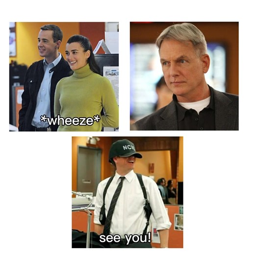 I Had 2 -- Tv Show- NCIS -- Ziva & McGee & Gibbs & Tony - #edit #ncis | NCIS Love Fan